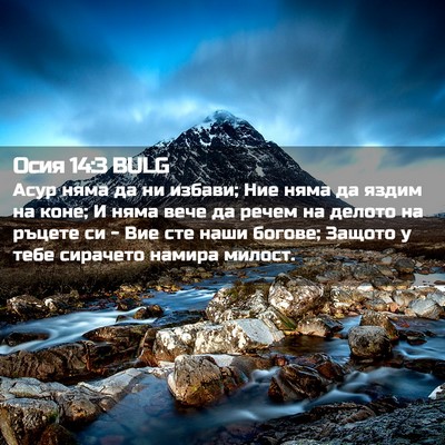 Picture 02 - Осия 14:3 BULG - Асур няма да ни избави; Ние - Bible Verse Picture