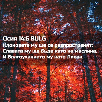 Picture 02 - Осия 14:6 BULG - Клоновете му ще се - Bible Verse Picture