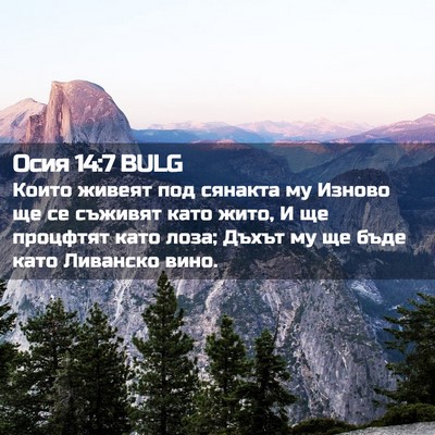 Picture 02 - Осия 14:7 BULG - Които живеят под сянакта - Bible Verse Picture