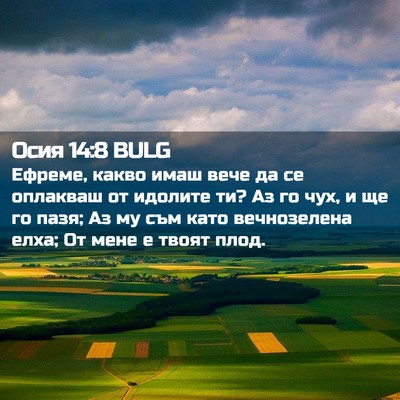 Picture 02 - Осия 14:8 BULG - Ефреме, какво имаш вече да - Bible Verse Picture