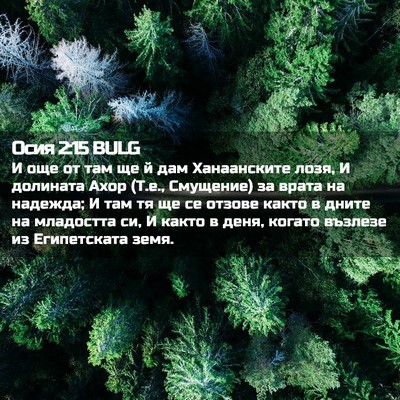 Picture 02 - Осия 2:15 BULG - И още от там ще й дам - Bible Verse Picture