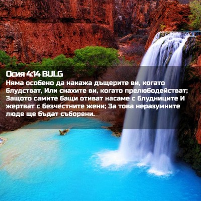 Picture 02 - Осия 4:14 BULG - Няма особено да накажа - Bible Verse Picture