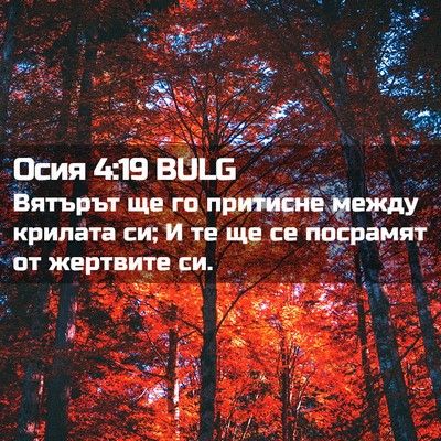 Picture 02 - Осия 4:19 BULG - Вятърът ще го притисне - Bible Verse Picture