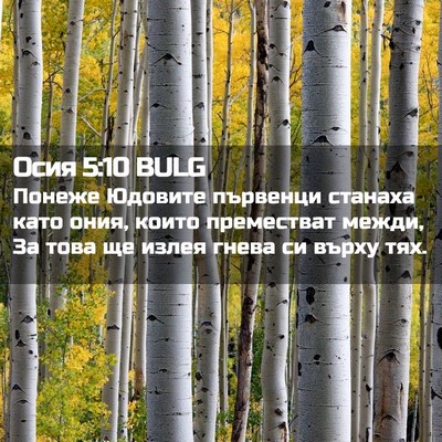 Picture 02 - Осия 5:10 BULG - Понеже Юдовите първенци - Bible Verse Picture