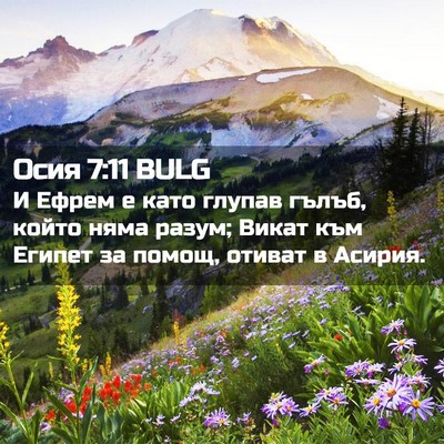 Picture 02 - Осия 7:11 BULG - И Ефрем е като глупав - Bible Verse Picture