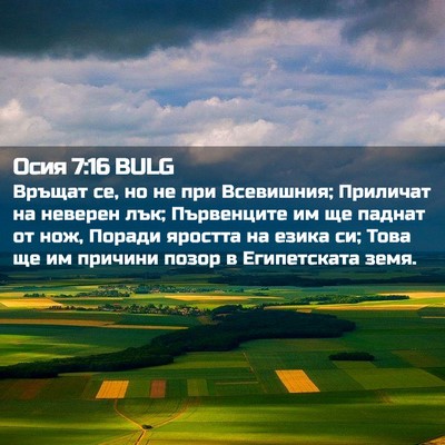 Picture 02 - Осия 7:16 BULG - Връщат се, но не при - Bible Verse Picture