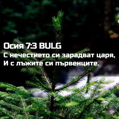 Picture 02 - Осия 7:3 BULG - С нечестието си зарадват - Bible Verse Picture