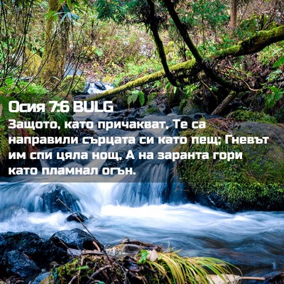 Picture 02 - Осия 7:6 BULG - Защото, като причакват, Те - Bible Verse Picture
