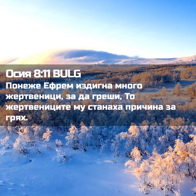 Picture 02 - Осия 8:11 BULG - Понеже Ефрем издигна много - Bible Verse Picture