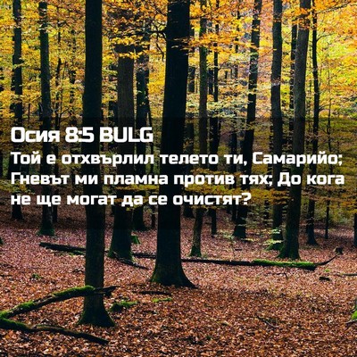 Picture 02 - Осия 8:5 BULG - Той е отхвърлил телето ти, - Bible Verse Picture