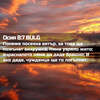 Picture 02 - Осия 8:7 BULG - Понеже посеяха вятър, за - Bible Verse Picture