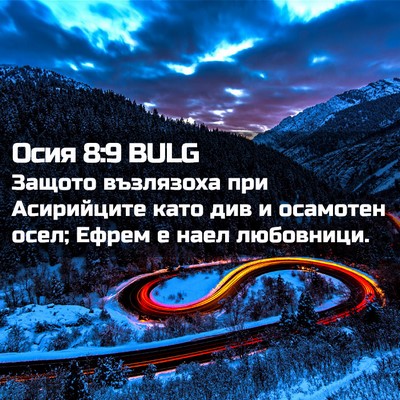 Picture 02 - Осия 8:9 BULG - Защото възлязоха при - Bible Verse Picture