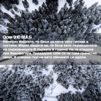 Picture 02 - Осия 9:10 BULG - Намерих Израиля, че беше за - Bible Verse Picture
