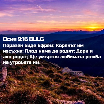 Picture 02 - Осия 9:16 BULG - Поразен биде Ефрем; - Bible Verse Picture