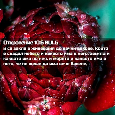 Picture 02 - Откровение 10:6 BULG - и се закле в живеещия до - Bible Verse Picture