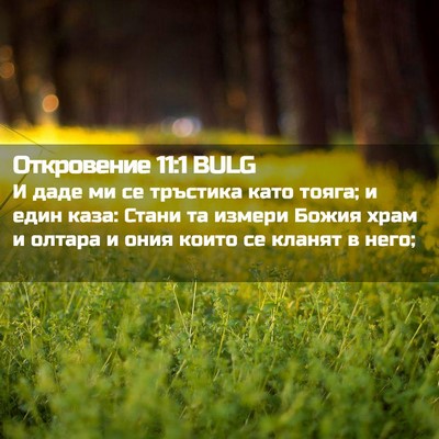 Picture 02 - Откровение 11:1 BULG - И даде ми се тръстика като - Bible Verse Picture