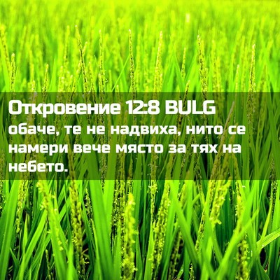 Picture 02 - Откровение 12:8 BULG - обаче, те не надвиха, нито - Bible Verse Picture
