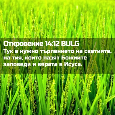 Picture 02 - Откровение 14:12 BULG - Тук е нужно търпението на - Bible Verse Picture