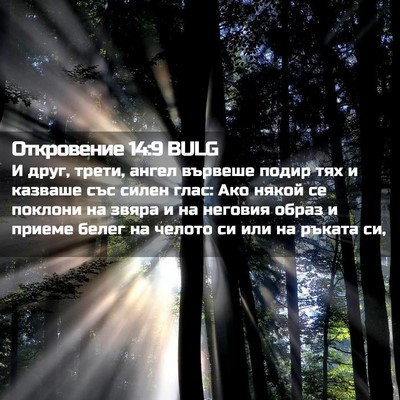 Picture 02 - Откровение 14:9 BULG - И друг, трети, ангел - Bible Verse Picture
