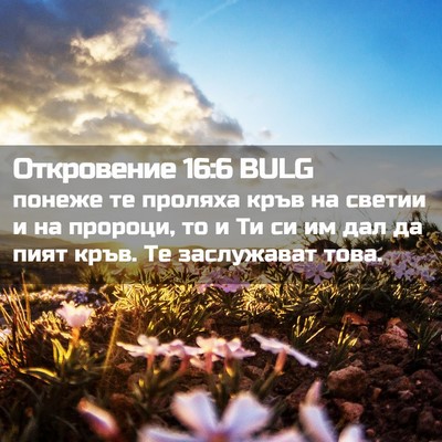 Picture 02 - Откровение 16:6 BULG - понеже те проляха кръв на - Bible Verse Picture
