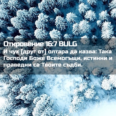 Picture 02 - Откровение 16:7 BULG - И чух [друг от] олтара да - Bible Verse Picture