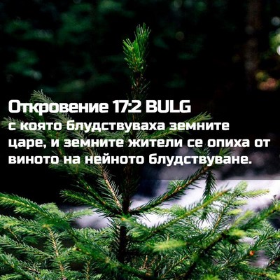 Picture 02 - Откровение 17:2 BULG - с която блудствуваха - Bible Verse Picture