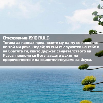Picture 02 - Откровение 19:10 BULG - Тогава аз паднах пред - Bible Verse Picture