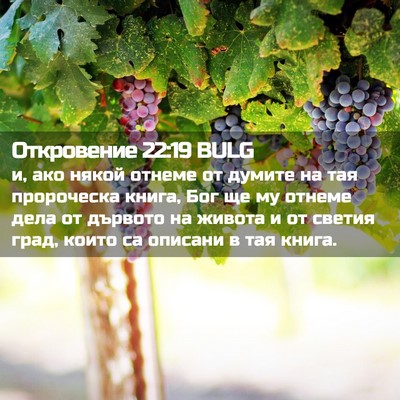 Picture 02 - Откровение 22:19 BULG - и, ако някой отнеме от - Bible Verse Picture