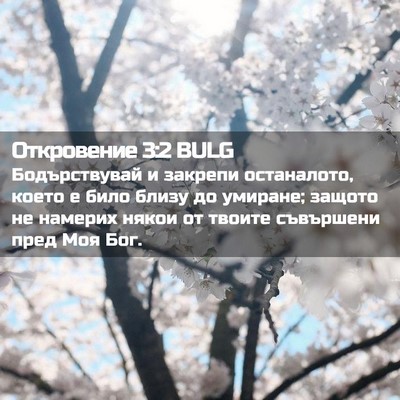 Picture 02 - Откровение 3:2 BULG - Бодърствувай и закрепи - Bible Verse Picture