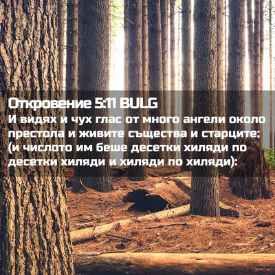 Picture 02 - Откровение 5:11 BULG - И видях и чух глас от много - Bible Verse Picture