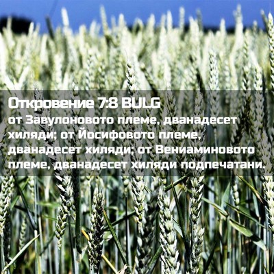 Picture 02 - Откровение 7:8 BULG - от Завулоновото племе, - Bible Verse Picture