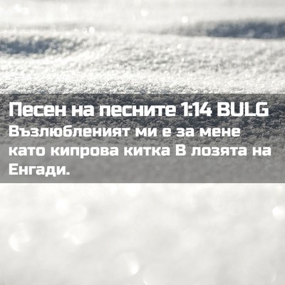 Picture 02 - Песен на песните 1:14 BULG - Възлюбленият ми е за мене - Bible Verse Picture