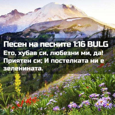 Picture 02 - Песен на песните 1:16 BULG - Ето, хубав си, любезни ми, - Bible Verse Picture