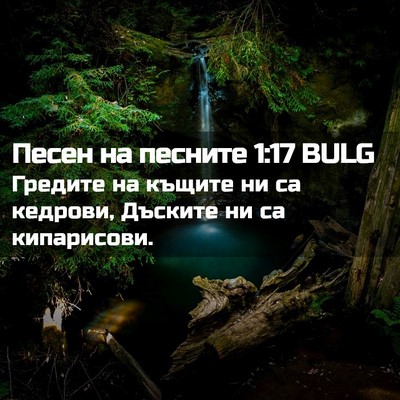 Picture 02 - Песен на песните 1:17 BULG - Гредите на къщите ни са - Bible Verse Picture