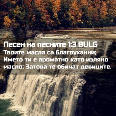 Picture 02 - Песен на песните 1:3 BULG - Твоите масла са - Bible Verse Picture