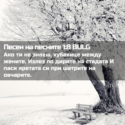 Picture 02 - Песен на песните 1:8 BULG - Ако ти не знаеш, хубавице - Bible Verse Picture