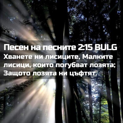 Picture 02 - Песен на песните 2:15 BULG - Хванете ни лисиците, - Bible Verse Picture