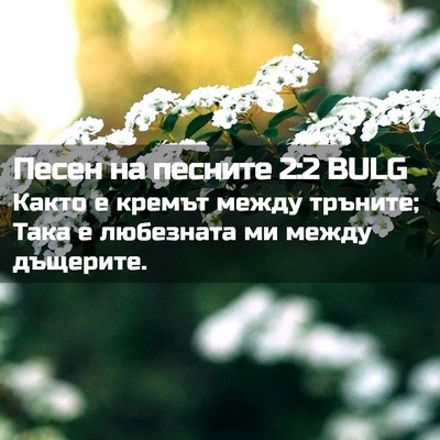 Picture 02 - Песен на песните 2:2 BULG - Както е кремът между - Bible Verse Picture