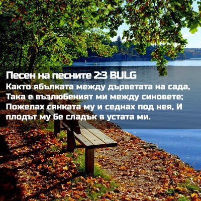 Picture 02 - Песен на песните 2:3 BULG - Както ябълката между - Bible Verse Picture
