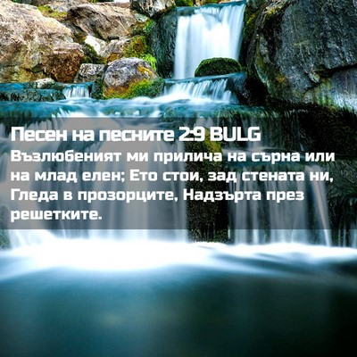 Picture 02 - Песен на песните 2:9 BULG - Възлюбеният ми прилича на - Bible Verse Picture