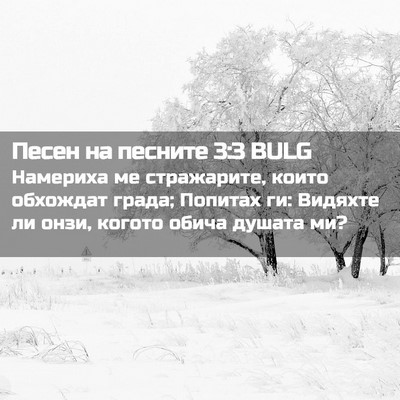 Picture 02 - Песен на песните 3:3 BULG - Намериха ме стражарите, - Bible Verse Picture