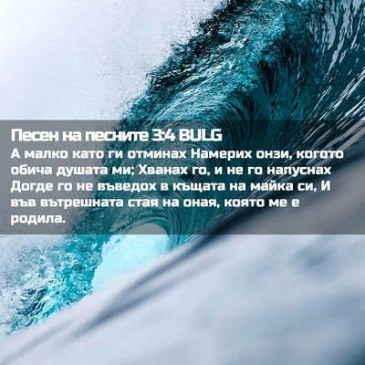 Picture 02 - Песен на песните 3:4 BULG - А малко като ги отминах - Bible Verse Picture