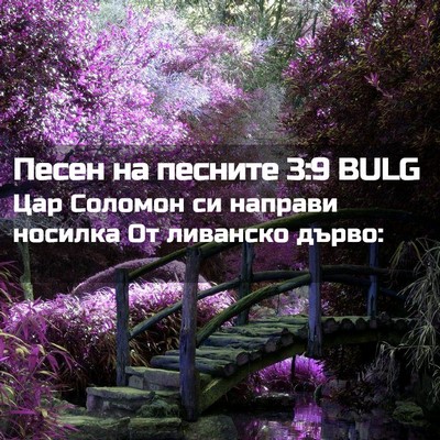Picture 02 - Песен на песните 3:9 BULG - Цар Соломон си направи - Bible Verse Picture