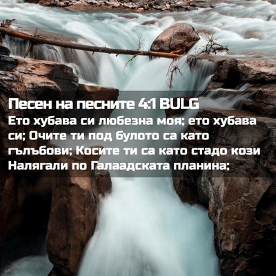 Picture 02 - Песен на песните 4:1 BULG - Ето хубава си любезна моя; - Bible Verse Picture