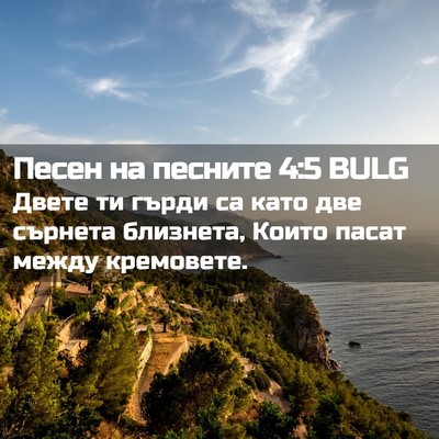Picture 02 - Песен на песните 4:5 BULG - Двете ти гърди са като две - Bible Verse Picture