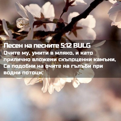 Picture 02 - Песен на песните 5:12 BULG - Очите му, умити в мляко, и - Bible Verse Picture