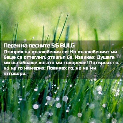 Picture 02 - Песен на песните 5:6 BULG - Отворих на възлюбения си; - Bible Verse Picture