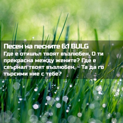 Picture 02 - Песен на песните 6:1 BULG - Где е отишъл твоят - Bible Verse Picture