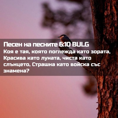 Picture 02 - Песен на песните 6:10 BULG - Коя е тая, която поглежда - Bible Verse Picture