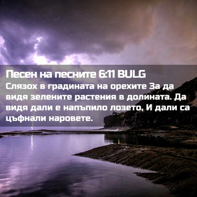 Picture 02 - Песен на песните 6:11 BULG - Слязох в градината на - Bible Verse Picture